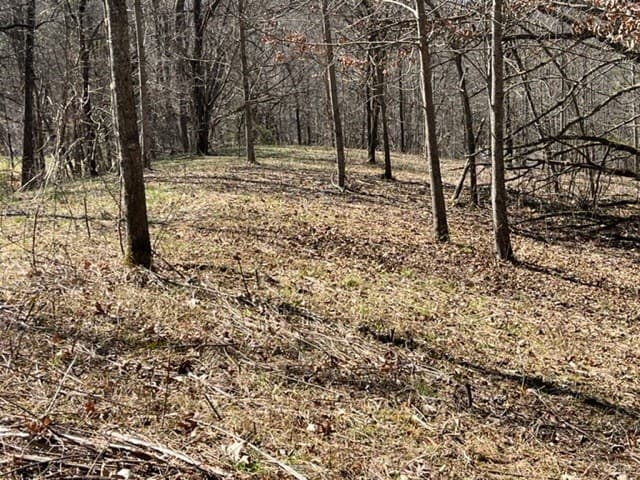 Lot 6 High Meadows, Hayesville NC 28904 - Photo