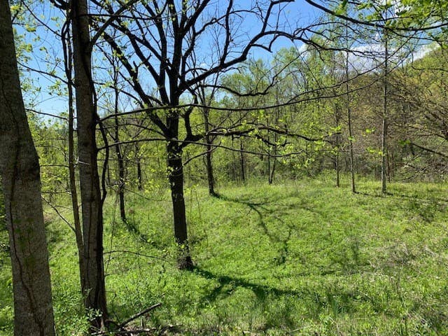 Lot 6 High Meadows, Hayesville NC 28904 - Photo