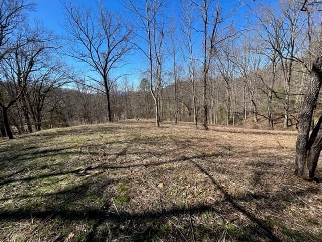 Lot 6 High Meadows, Hayesville NC 28904 - Photo