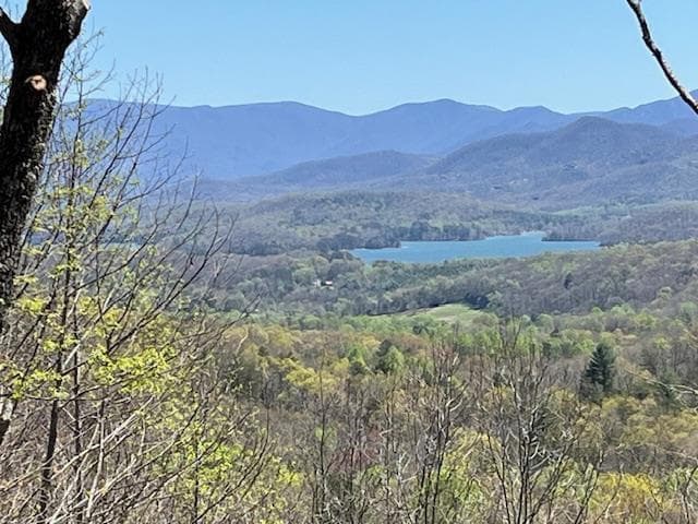Lot 11 Longview Drive, Hayesville NC 28904 - Primary photo
