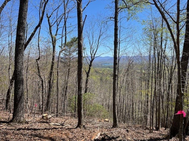 Lot 11 Longview Drive, Hayesville NC 28904 - Photo