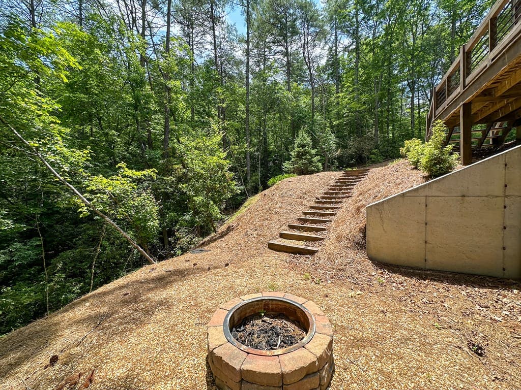 340 Hooch Holler Lane, Morganton GA 30560 - Photo