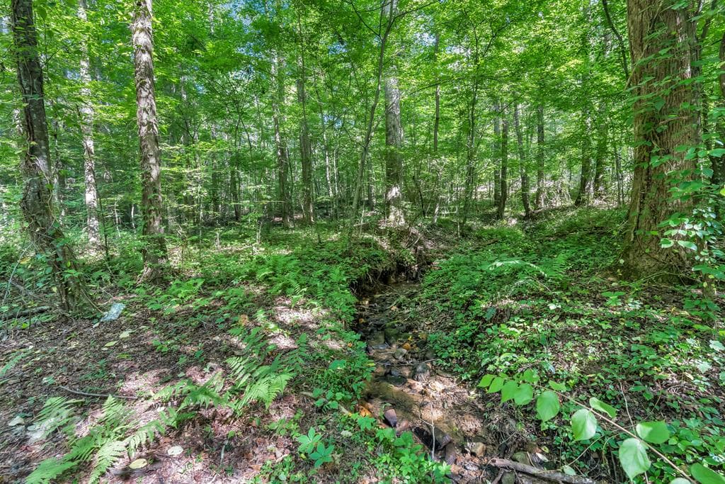 414 Twin Mountain Lake Circle, Talking Rock GA 30175 - Photo