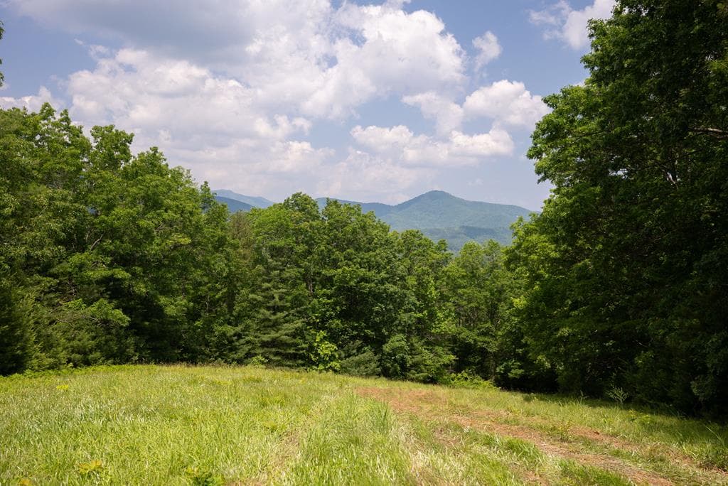 7320 Chestnut Valley Road, Hiawassee GA 30546 - Photo