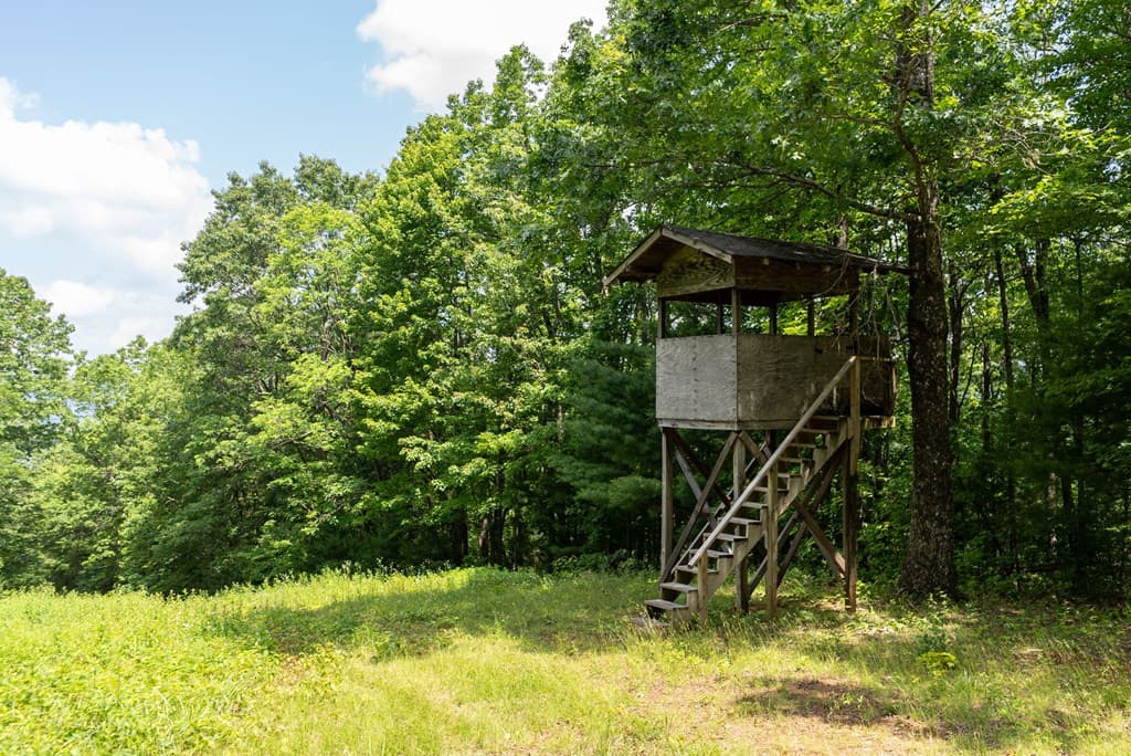 7320 Chestnut Valley Road, Hiawassee GA 30546 - Photo