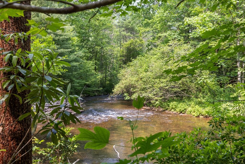 7320 Chestnut Valley Road, Hiawassee GA 30546 - Photo