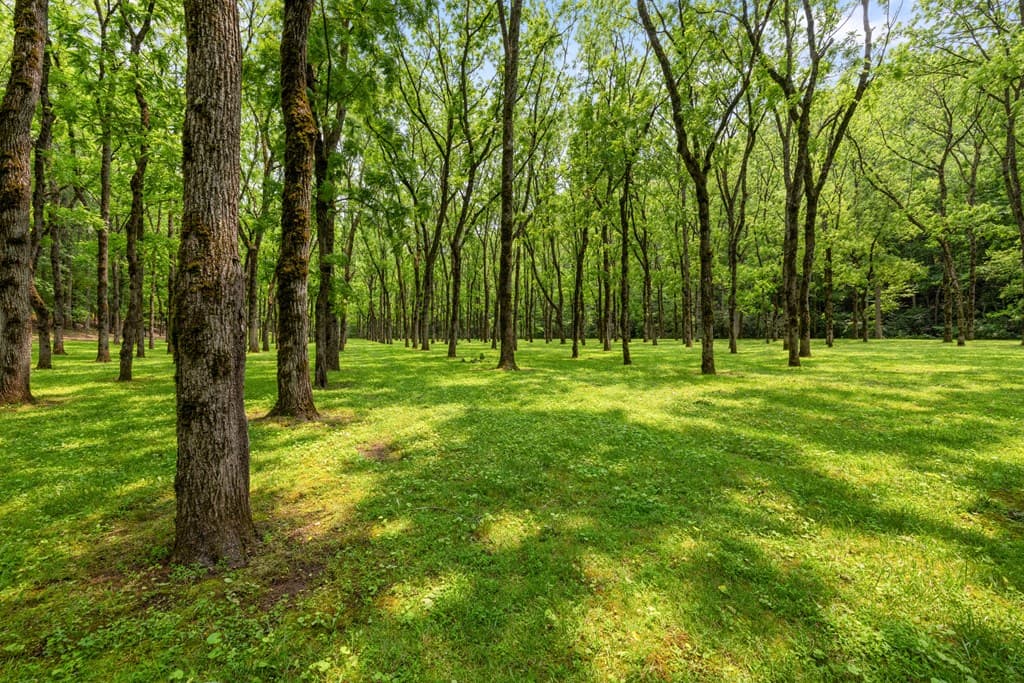 7320 Chestnut Valley Road, Hiawassee GA 30546 - Photo