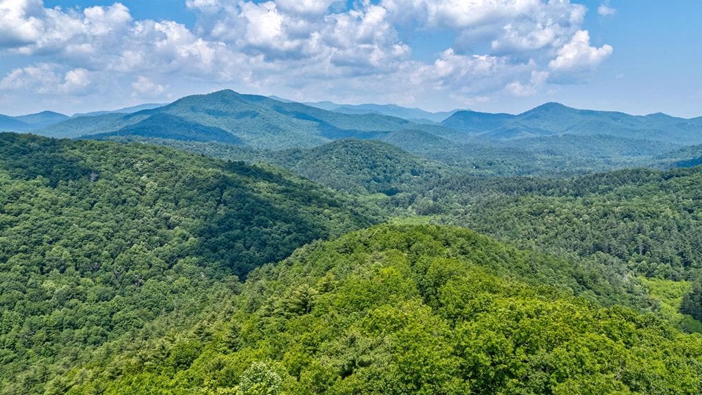 7320 Chestnut Valley Road, Hiawassee GA 30546 - Photo