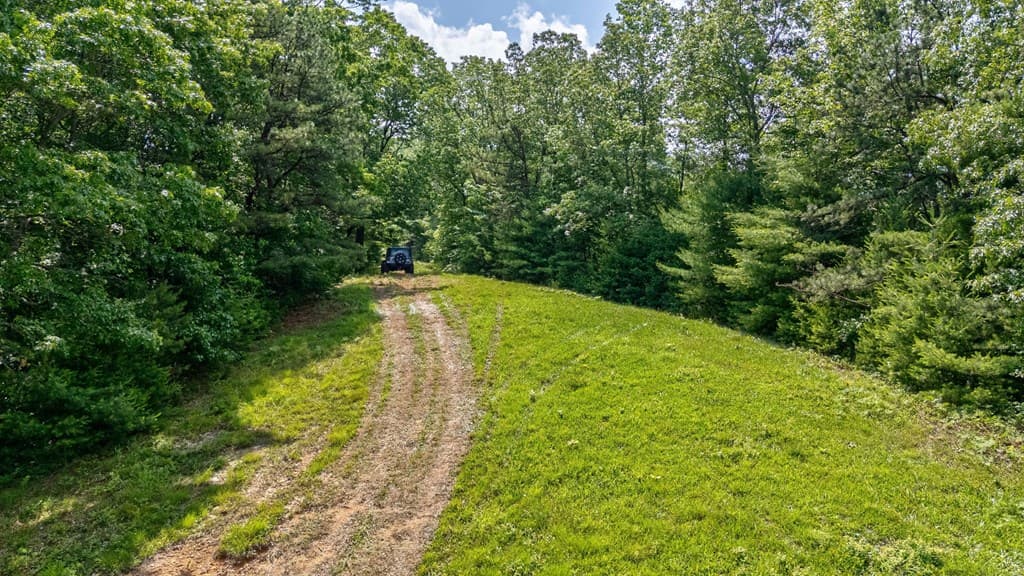 7320 Chestnut Valley Road, Hiawassee GA 30546 - Photo