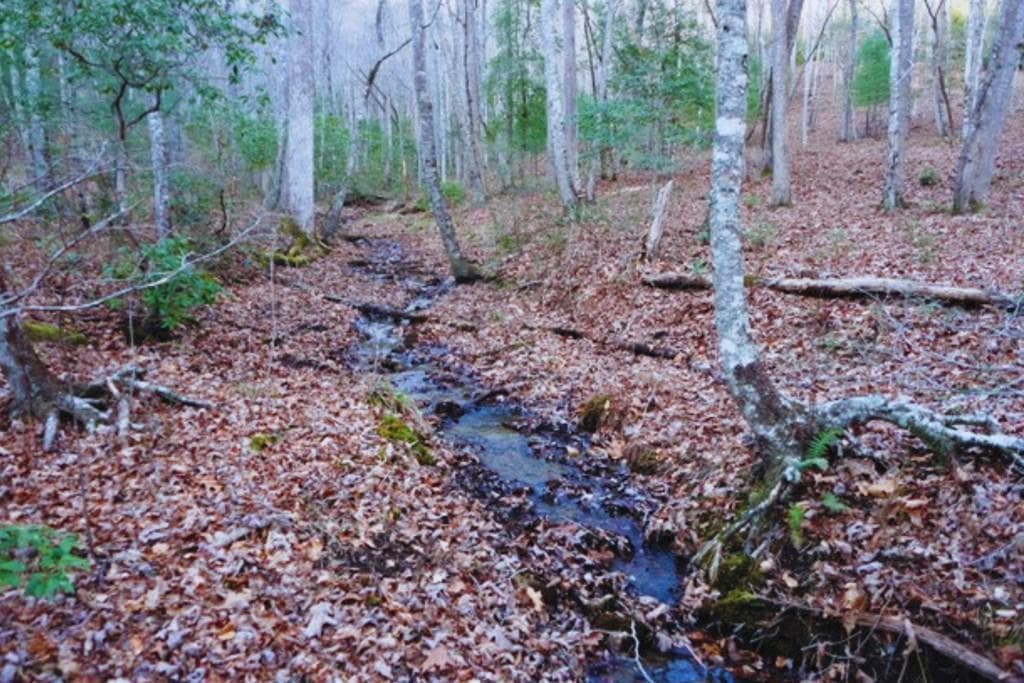 LT 23 Shelton Springs S/D, Hayesville NC 28904 - Photo