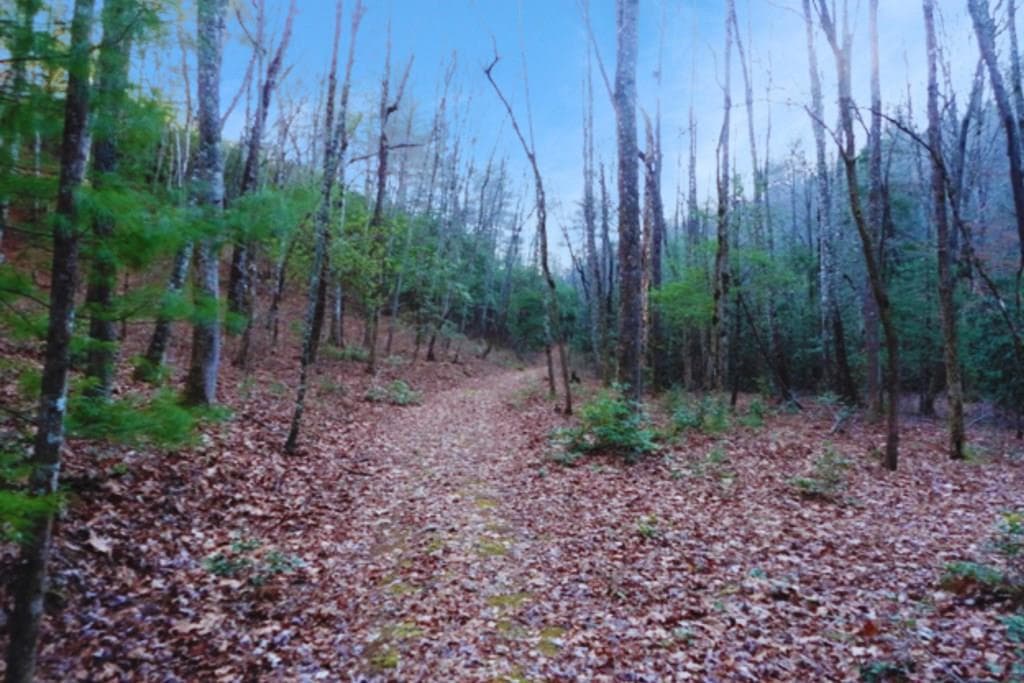 LT 23 Shelton Springs S/D, Hayesville NC 28904 - Primary photo