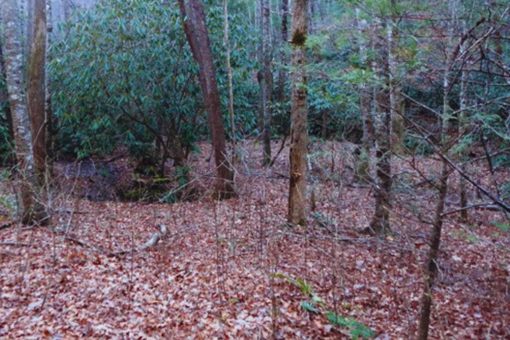 LT 23 Shelton Springs S/D, Hayesville NC 28904 - Photo
