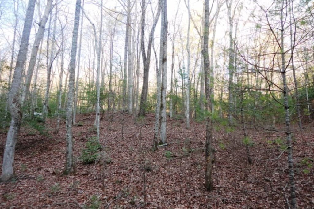 LT 23 Shelton Springs S/D, Hayesville NC 28904 - Photo
