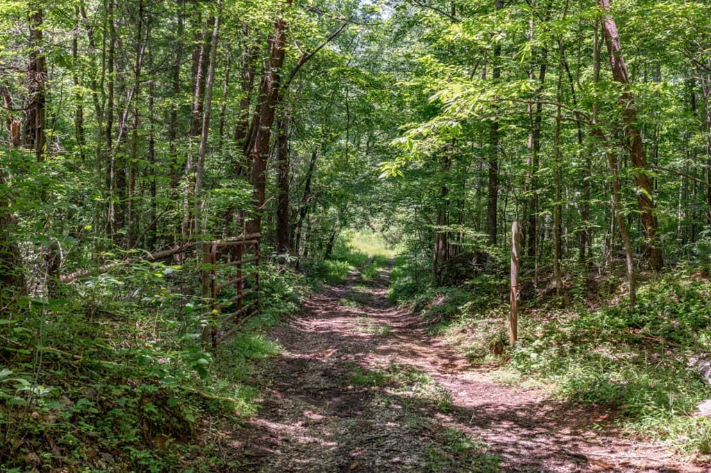 26.18 AC Green Road, Young Harris GA 30582 - Photo