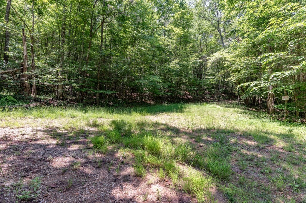 26.18 AC Green Road, Young Harris GA 30582 - Photo