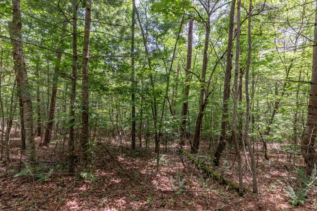 26.18 AC Green Road, Young Harris GA 30582 - Photo