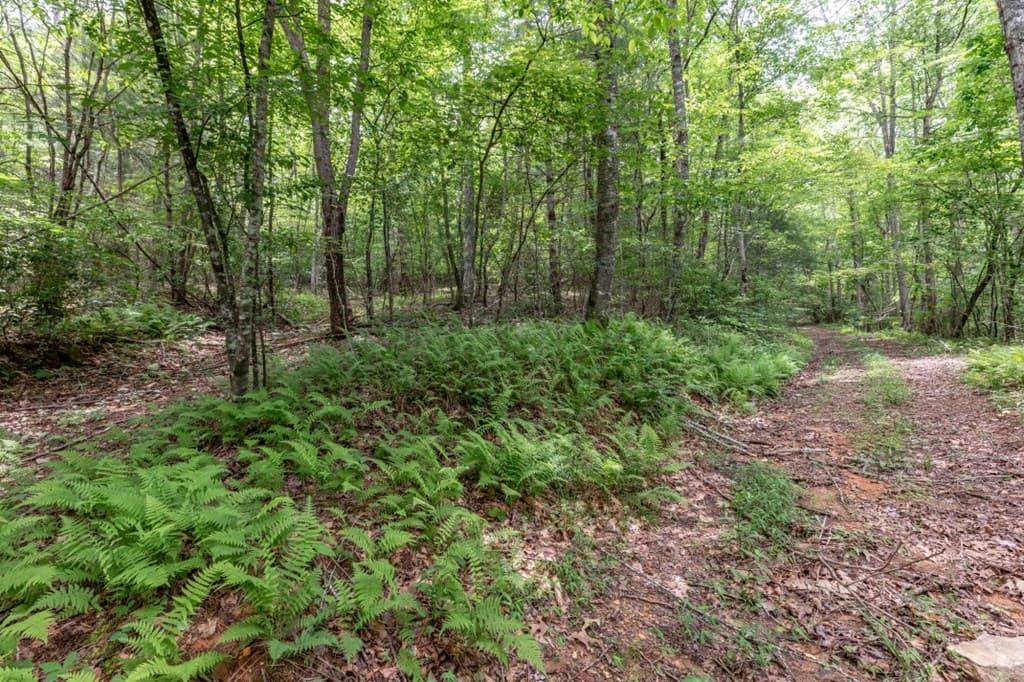 26.18 AC Green Road, Young Harris GA 30582 - Photo