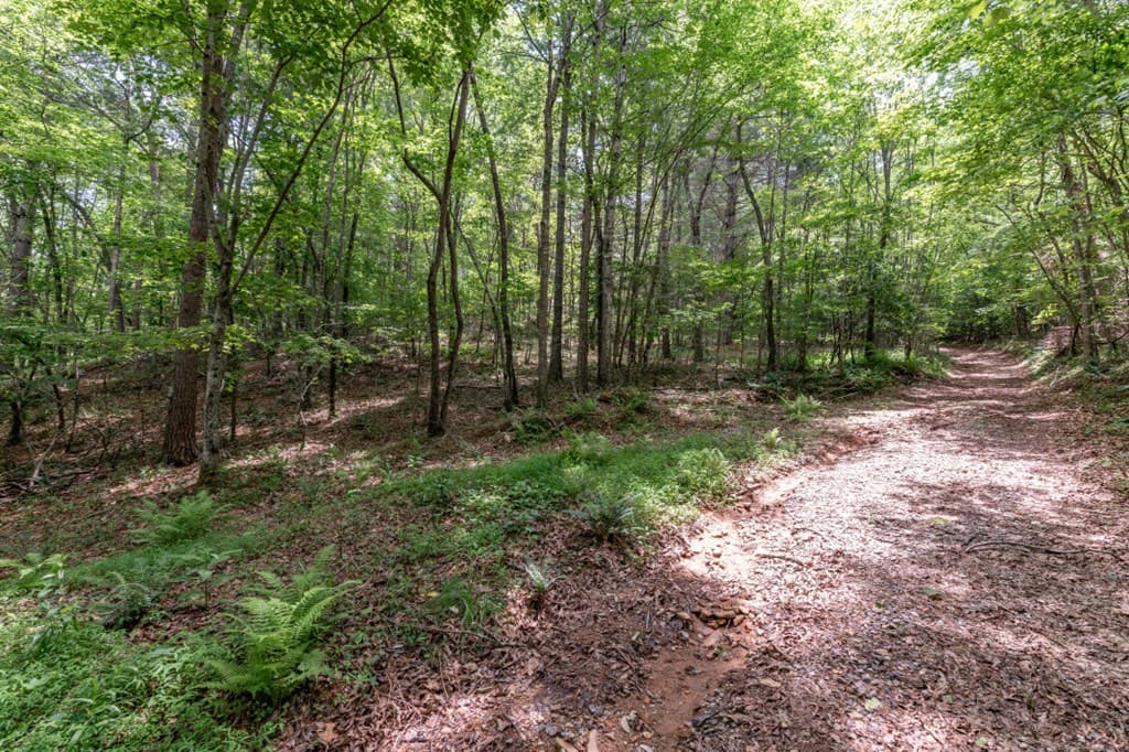 26.18 AC Green Road, Young Harris GA 30582 - Photo