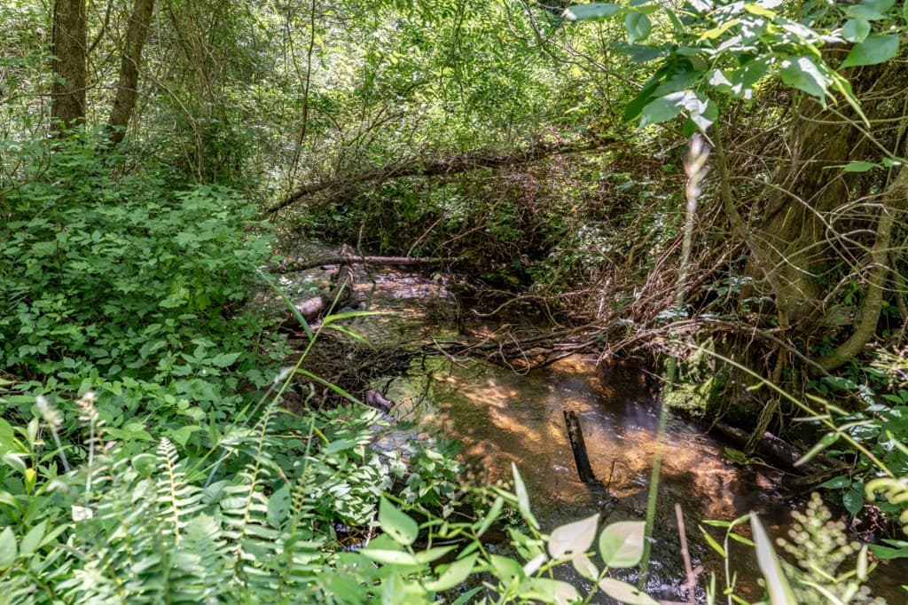 26.18 AC Green Road, Young Harris GA 30582 - Photo