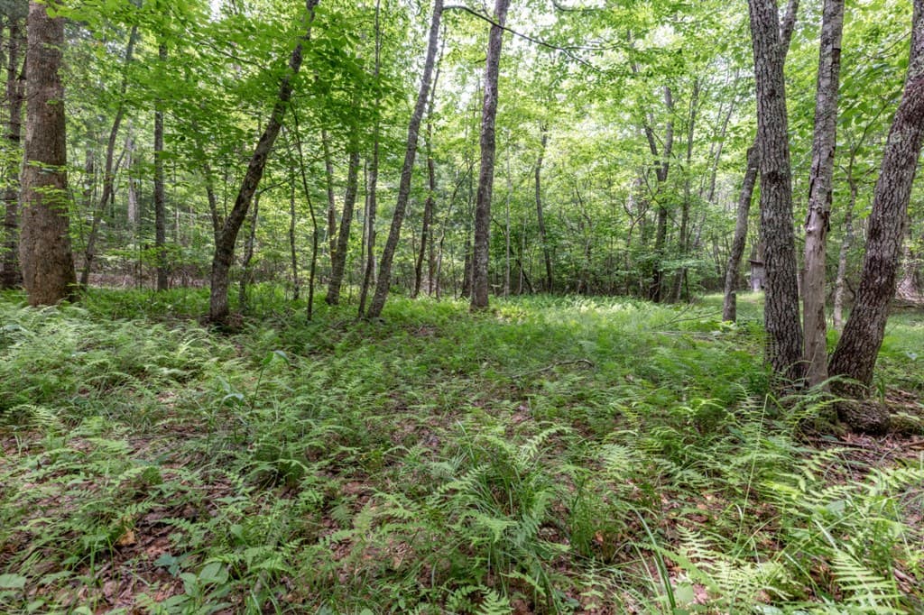 26.18 AC Green Road, Young Harris GA 30582 - Photo