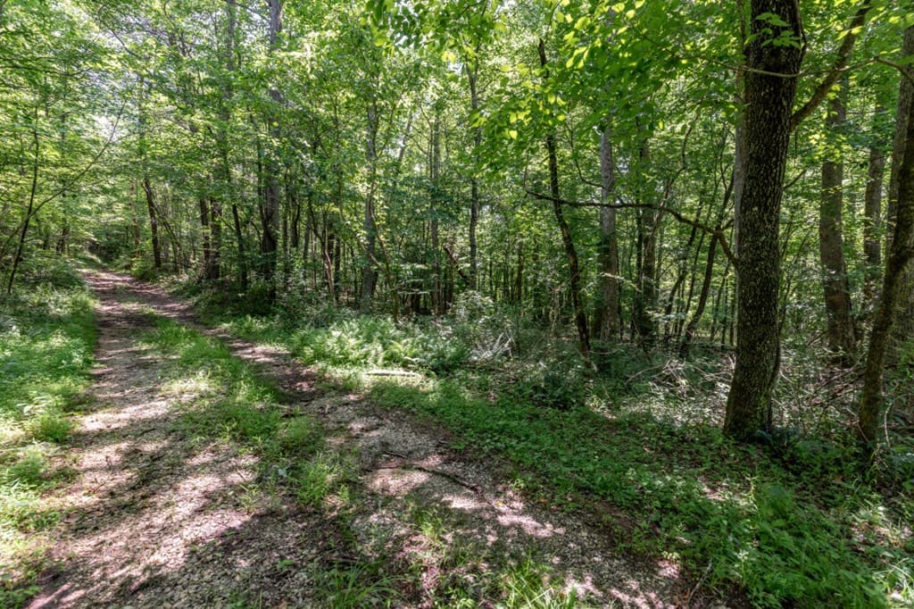 26.18 AC Green Road, Young Harris GA 30582 - Photo