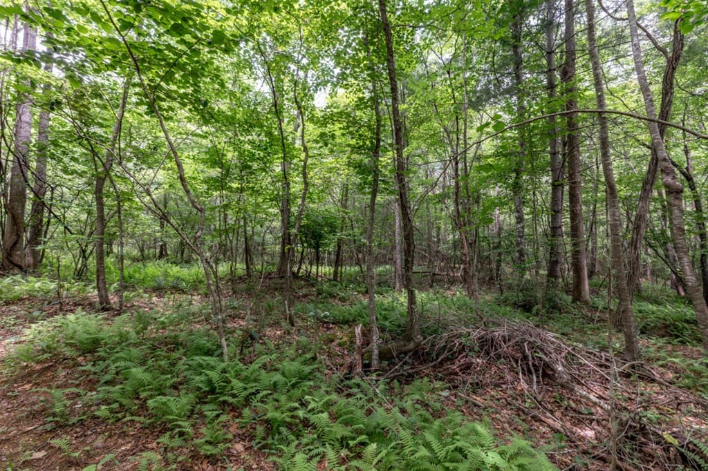 26.18 AC Green Road, Young Harris GA 30582 - Photo