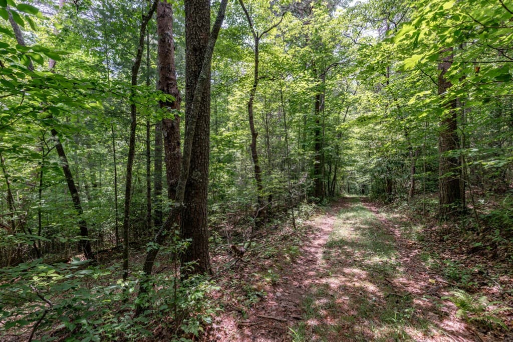 26.18 AC Green Road, Young Harris GA 30582 - Photo