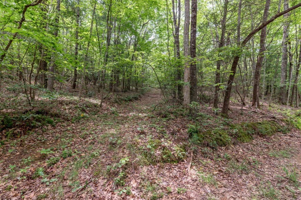 26.18 AC Green Road, Young Harris GA 30582 - Photo