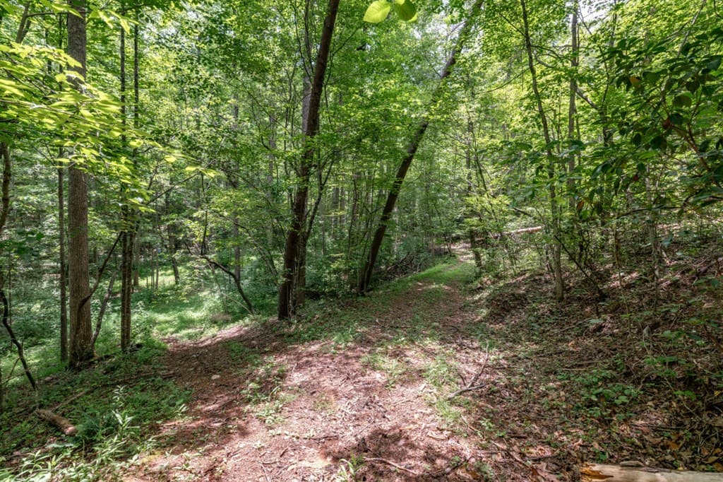 26.18 AC Green Road, Young Harris GA 30582 - Photo