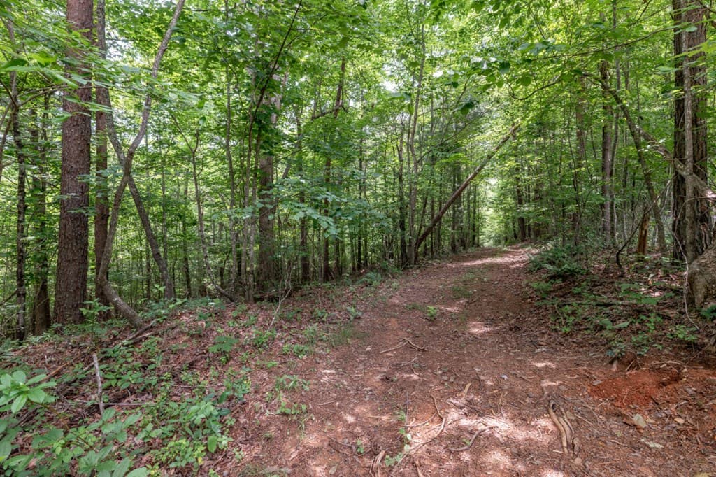 26.18 AC Green Road, Young Harris GA 30582 - Photo