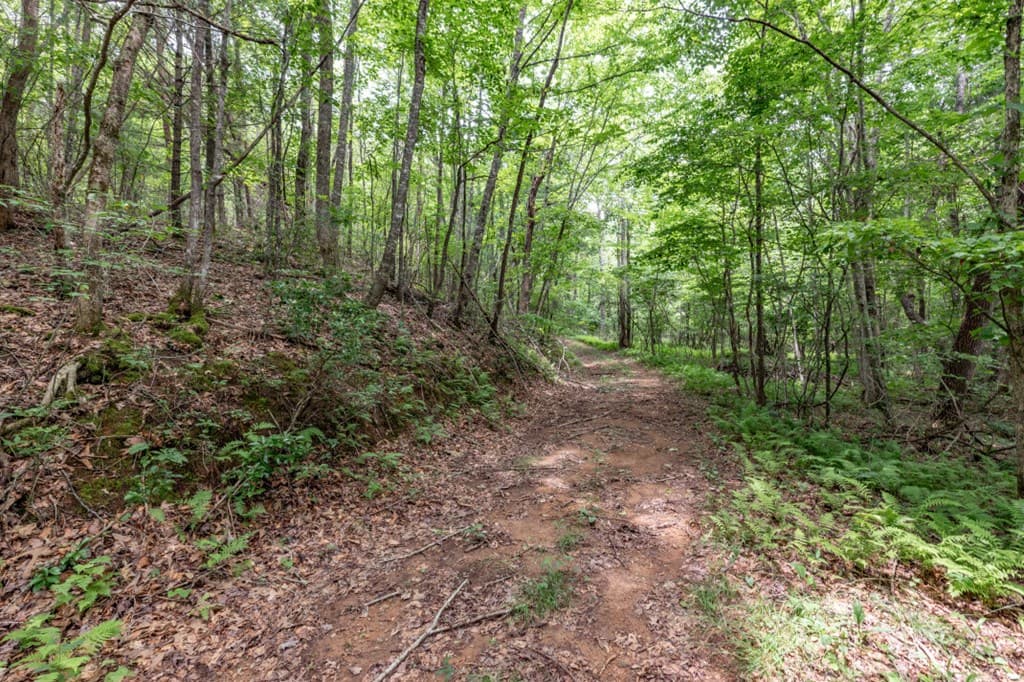 26.18 AC Green Road, Young Harris GA 30582 - Photo