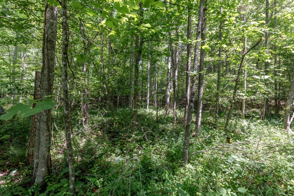 26.18 AC Green Road, Young Harris GA 30582 - Photo
