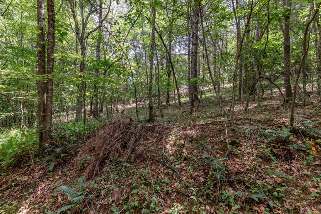 26.18 AC Green Road, Young Harris GA 30582 - Photo