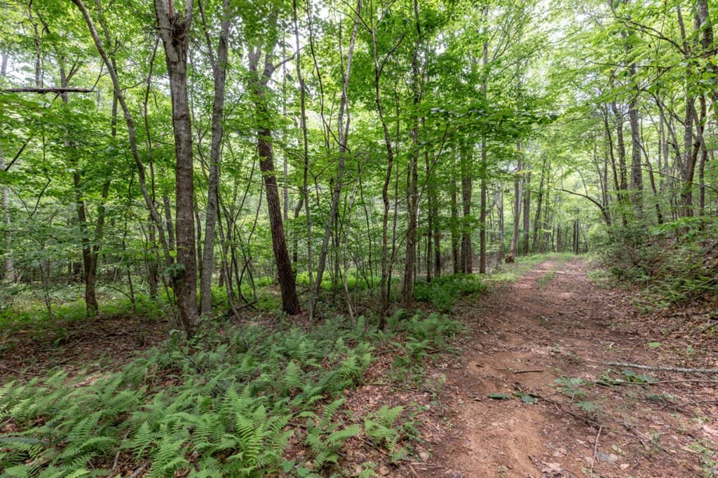 26.18 AC Green Road, Young Harris GA 30582 - Photo