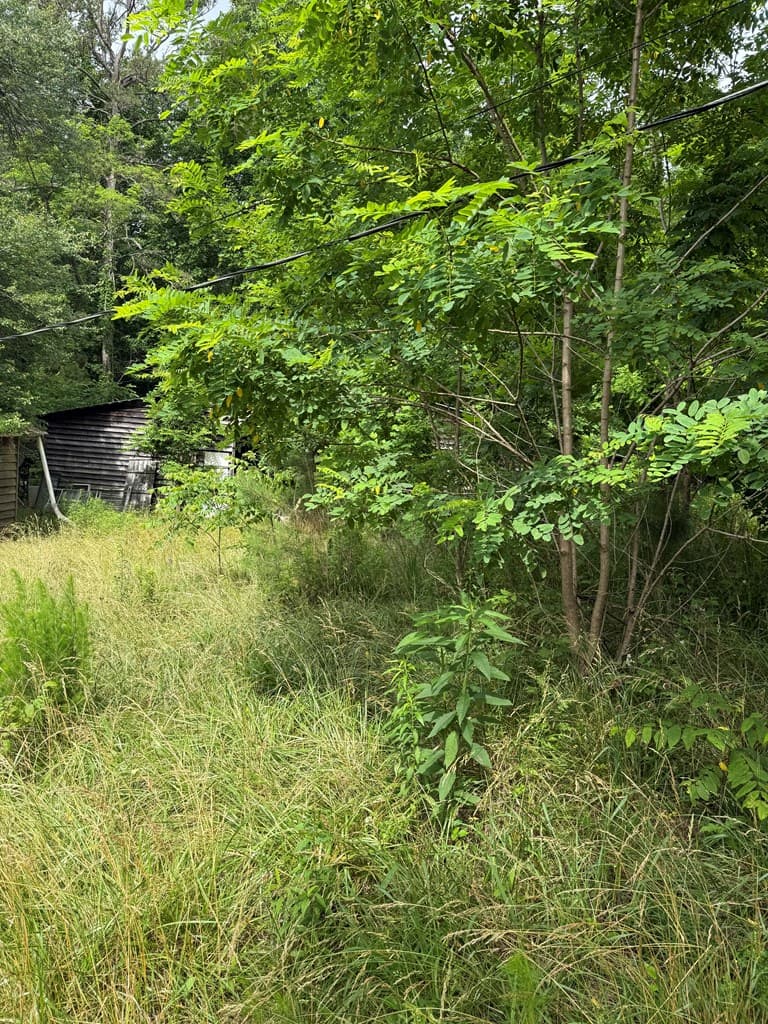 3282 Qualla Road, Hayesville NC 28904 - Photo