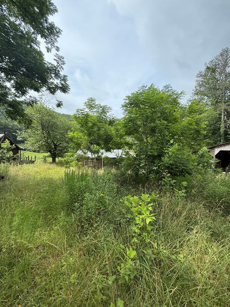3282 Qualla Road, Hayesville NC 28904 - Photo