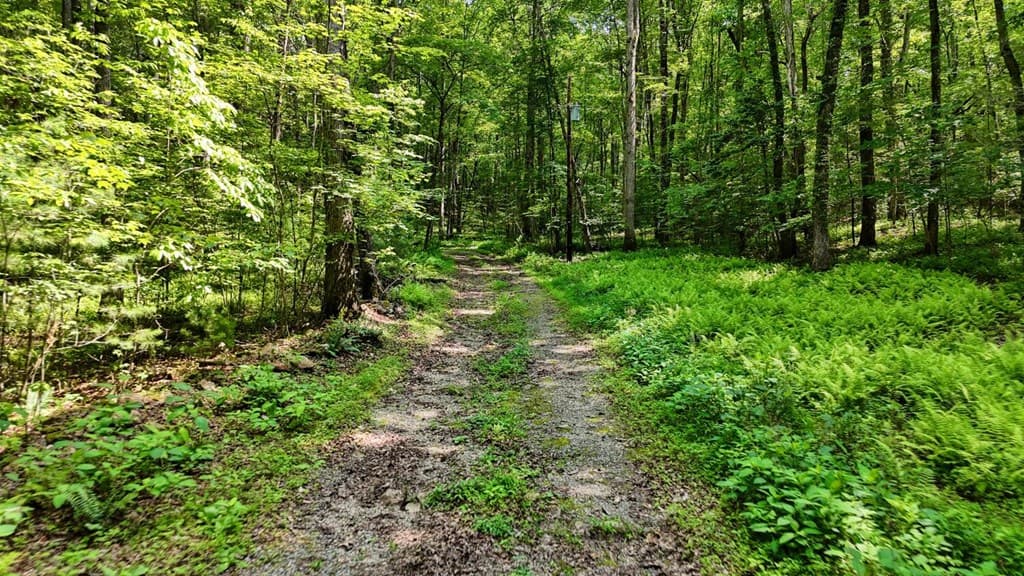201 Jaguar Lane, Blue Ridge GA 30513 - Photo