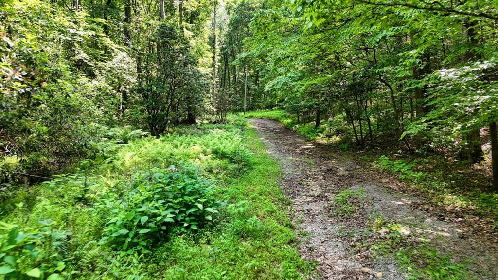 201 Jaguar Lane, Blue Ridge GA 30513 - Photo