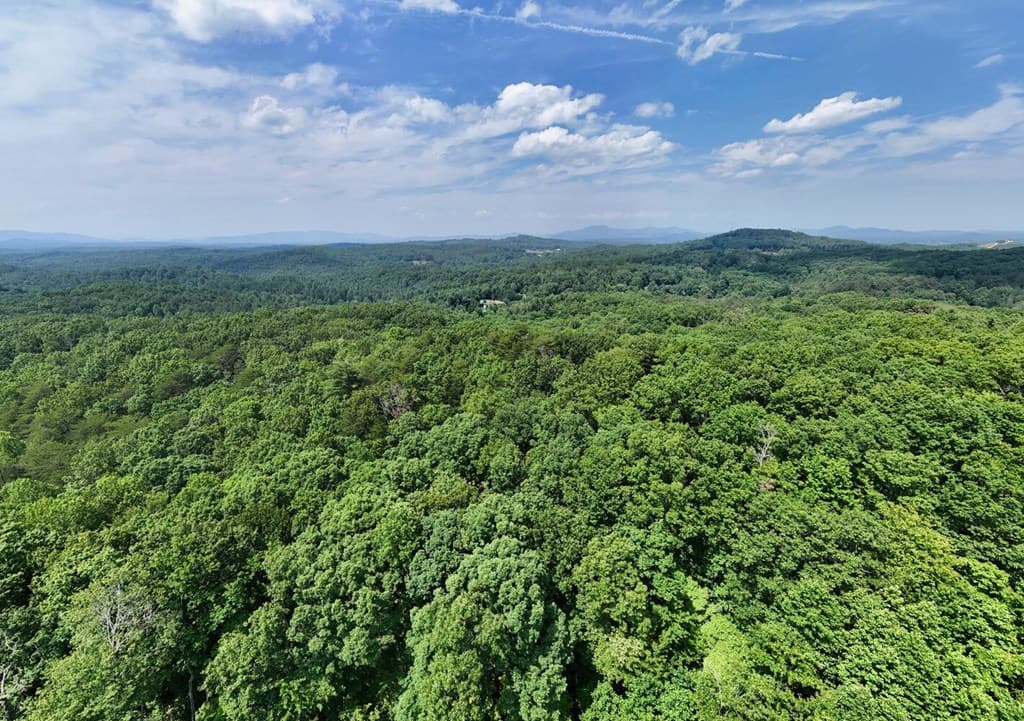 201 Jaguar Lane, Blue Ridge GA 30513 - Photo