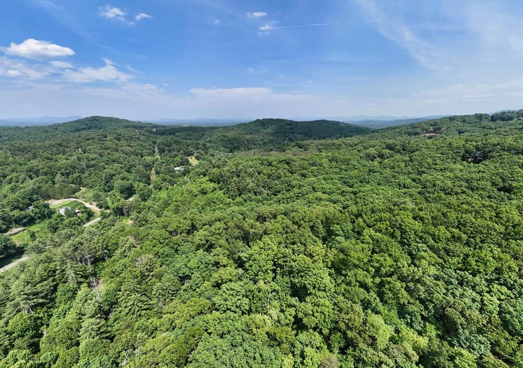 201 Jaguar Lane, Blue Ridge GA 30513 - Photo