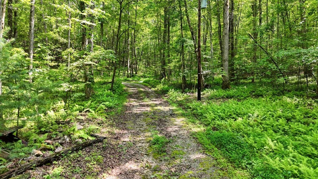 201 Jaguar Lane, Blue Ridge GA 30513 - Photo