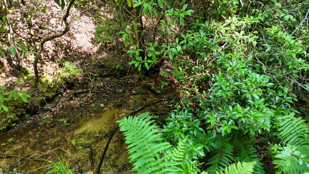201 Jaguar Lane, Blue Ridge GA 30513 - Photo