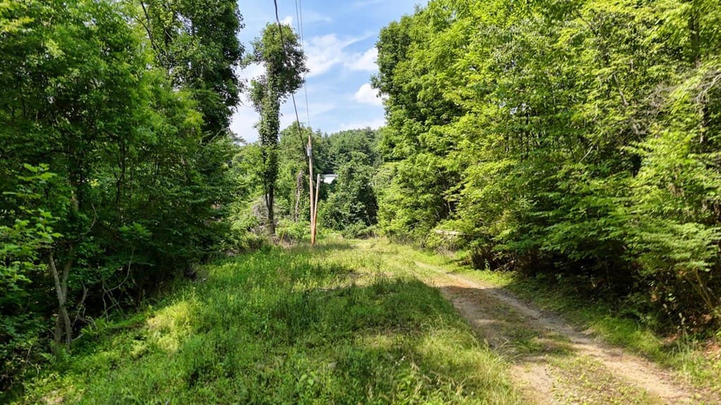 201 Jaguar Lane, Blue Ridge GA 30513 - Photo