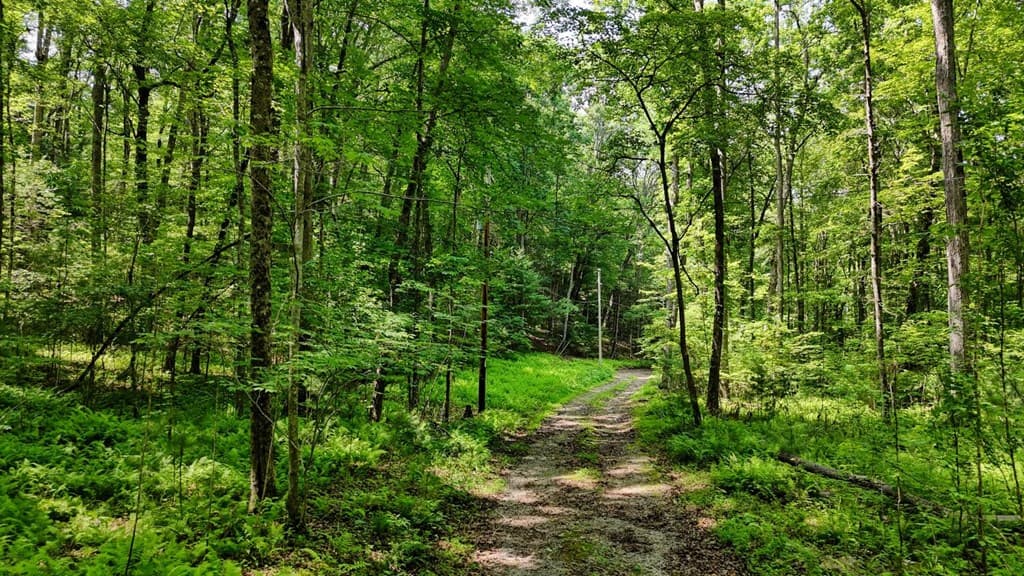 201 Jaguar Lane, Blue Ridge GA 30513 - Photo