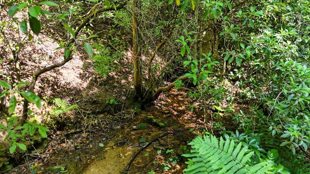 201 Jaguar Lane, Blue Ridge GA 30513 - Photo