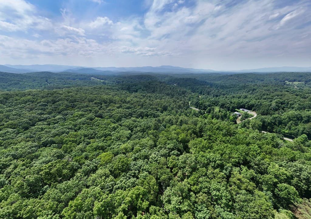 201 Jaguar Lane, Blue Ridge GA 30513 - Photo