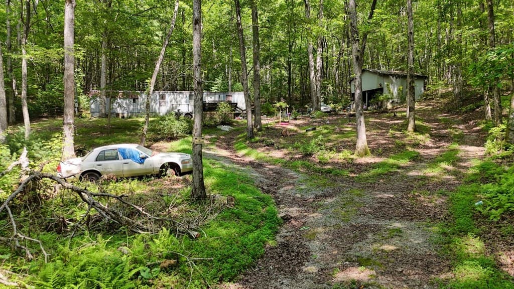 201 Jaguar Lane, Blue Ridge GA 30513 - Photo