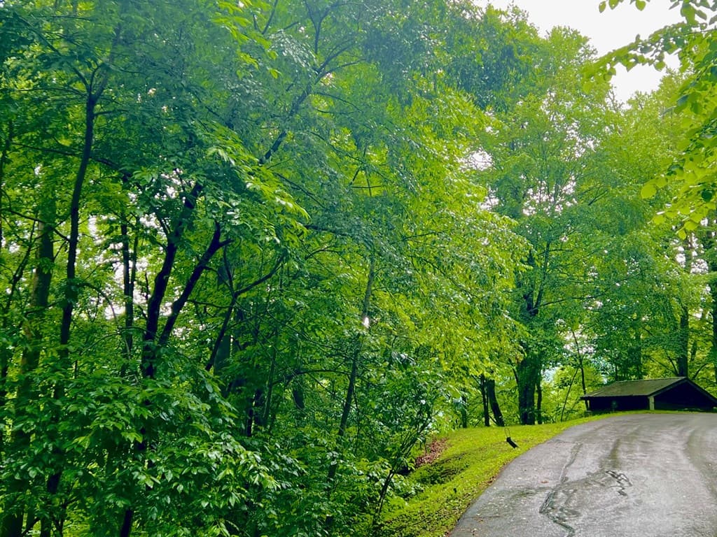 8 Black Bear Trail, Hiawassee GA 30548 - Photo