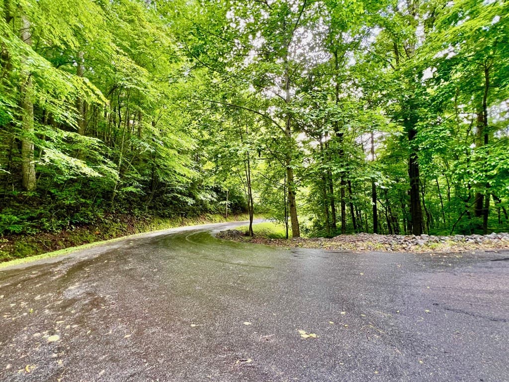 8 Black Bear Trail, Hiawassee GA 30548 - Photo