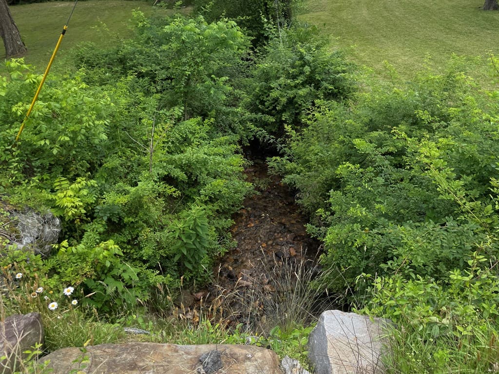 6211 Old Hwy 64 W, Warne NC 28909 - Photo